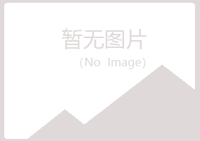 平塘县夏日咨询有限公司